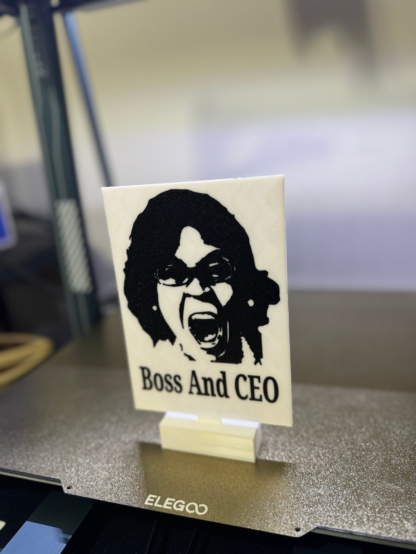 Meme, Boss & CEO, Sign, Office Humor, Dank Memes, funny, Meme Lord, prompted, TikTok, gift gag, bedroom, gift, witty, meme, TikTok meme, fun