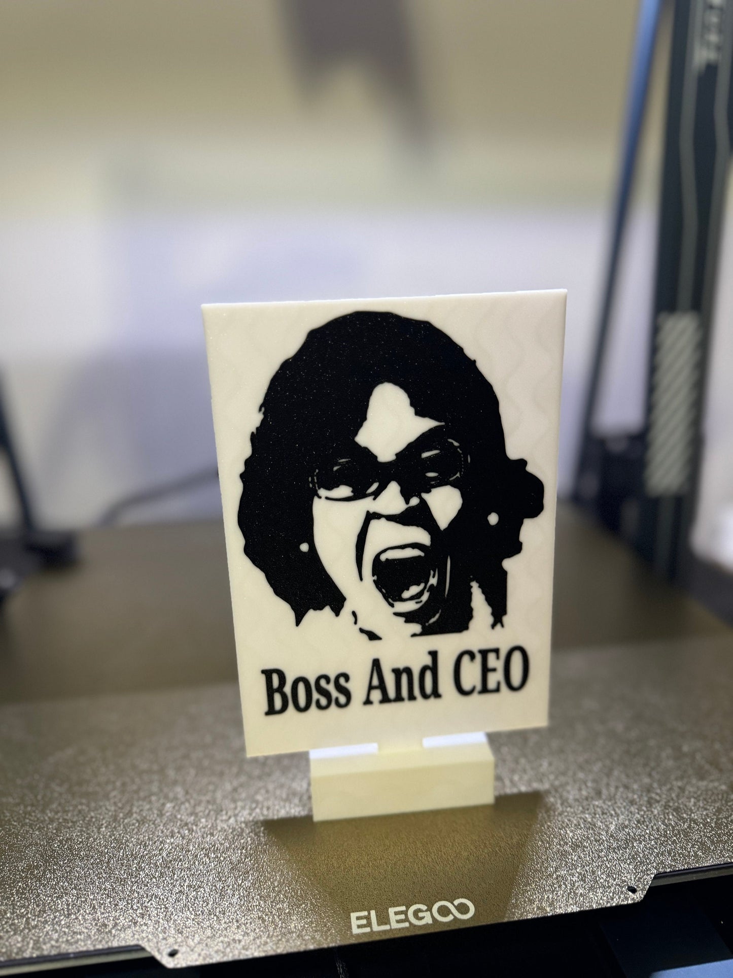 Meme, Boss & CEO, Sign, Office Humor, Dank Memes, funny, Meme Lord, prompted, TikTok, gift gag, bedroom, gift, witty, meme, TikTok meme, fun