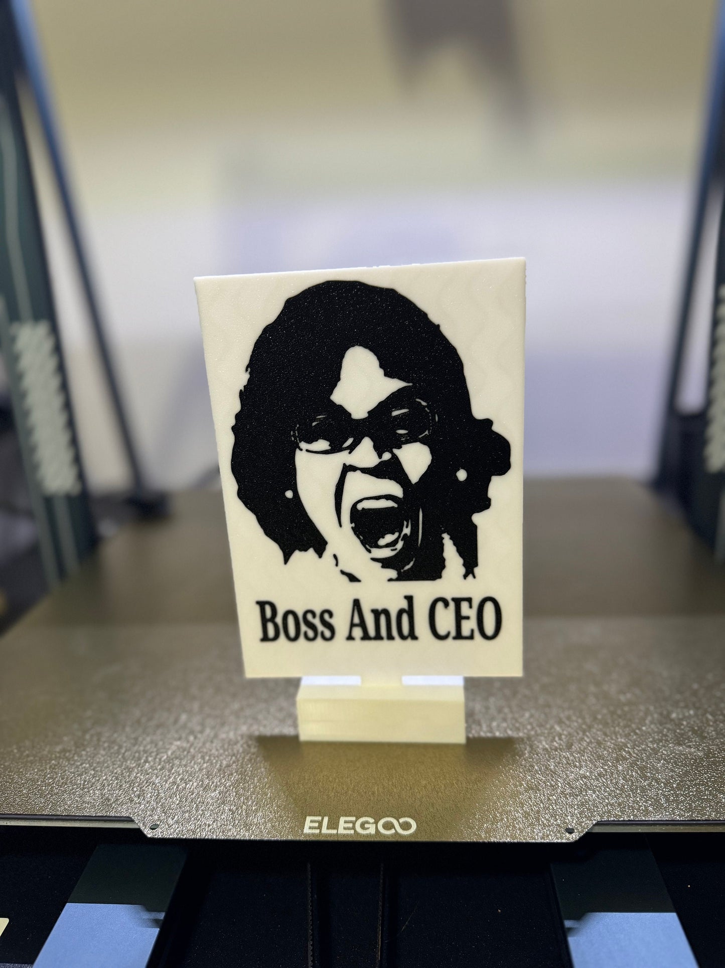 Meme, Boss & CEO, Sign, Office Humor, Dank Memes, funny, Meme Lord, prompted, TikTok, gift gag, bedroom, gift, witty, meme, TikTok meme, fun